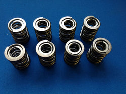 TR2-4 VALVE SPRING SET